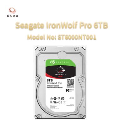 Seagate Ironwolf Pro 6TB شماره مدل: ST6000NT001